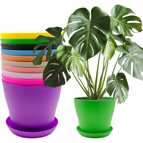 Blumentopf set 14cm - blumentopf, bunt