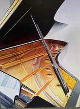 Grand-Piano, Konzert-Flügel Fazioli F 278, Bj. ca. 2013 , wie neu