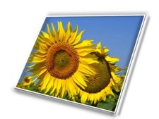 New 14.1" WXGA laptop LED LCD