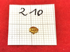 #210 Goldnugget Alaska Yukon