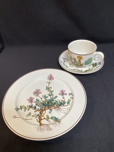 Villeroy boch botanica - &,