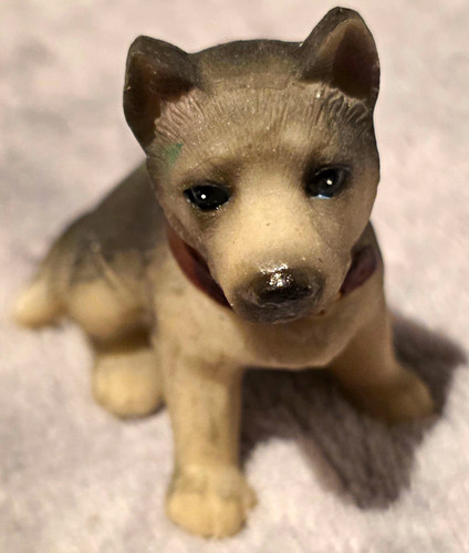 Süße schäferhund welpe - schäferhund,