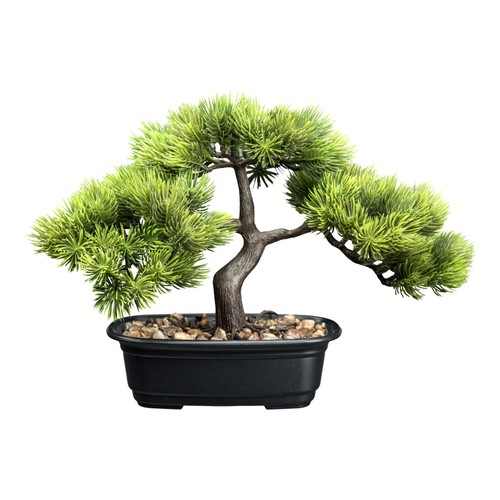 Kunstpflanze bonsai kiefer - kunstpflanze,