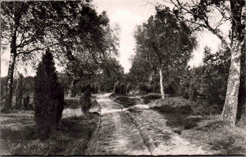 Lüneburger heide - ak,