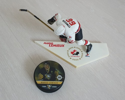 Eishockey puck und figur - puck,