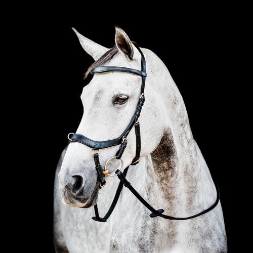 Horseware micklem multi - ii,