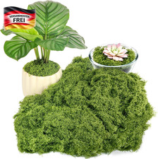 Künstliches Moos 150G Basteln