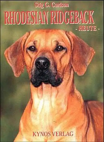 Rhodesian ridgeback heute - ridgeback,