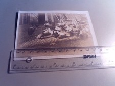 Altes Foto Landwirtschaft