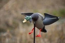 LOCKENTE MIT WINDDREHENDEN