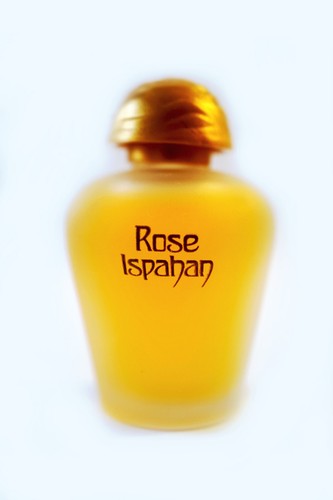 Rose ispahan yves rocher - •,