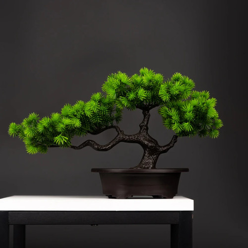 Kunstpflanze bonsai kiefer - kunstpflanze,