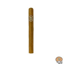 Joya De Nicaragua Clásico Numero 6 Zigarre aus Nicaragua