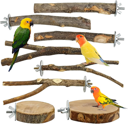Stück vogelspielzeug - 8,