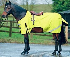 "Whe Horse Hi Viz Übungsblatt