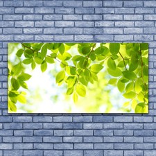 Glasbilder Wandbild Druck auf