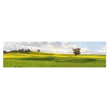Postereck 4046 poster leinwand - postereck,