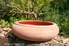 Terracotta bonsai schale - bonsai,