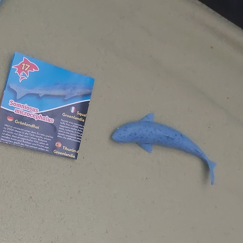 Grönland hai figur blau - hai, –