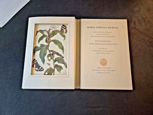 Maria sibylla merian - sibylla,