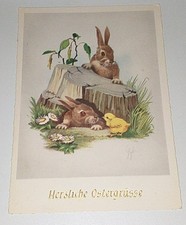 Alte Hase Küken Gruß Kunst Ostern Tier Postkarte Ak Tierpostkarte