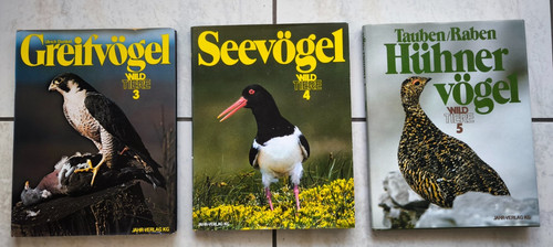 Sachbücher greifvögel - 3,