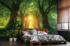 Fototapete Wald Bäume Grün