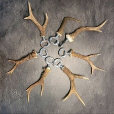 Flaschenöffner Rehgeweih