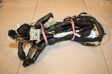 Suzuki SV650S AV / S 1999 - 2002 Hauptkabelbaum, Kabelbaum