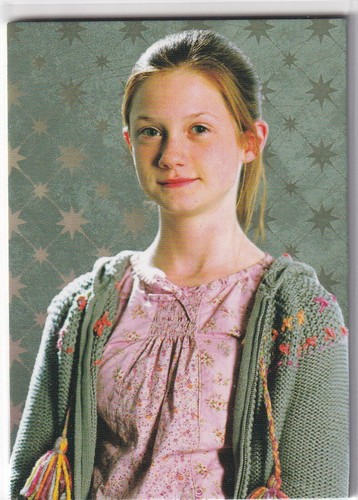 Panini harry potter evolution - potter,
