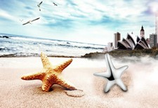 Seestern Ohrstecker Sterling Silber 925 Damen Kinder Ohrringe