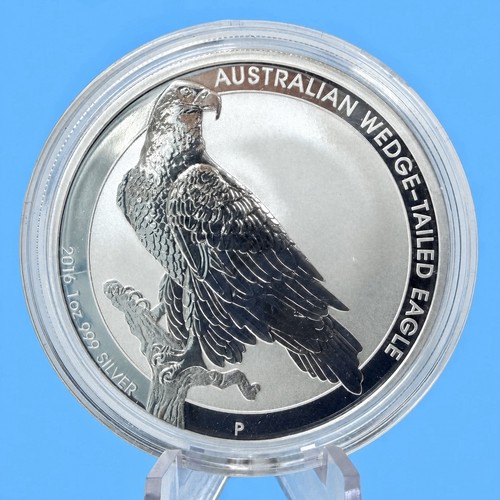 Australien wedge tailed eagle - australien, wedge-tailed