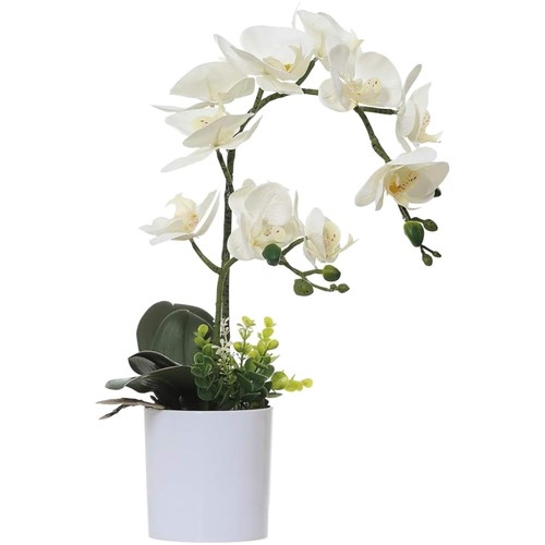 Künstliche orchideen weiß - orchideen,