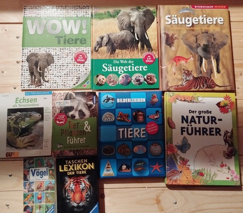 Buch paket kinder bücher - paket, 9