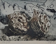 Horst Janssen Radierung 1981