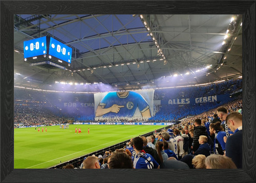 Schalke alles geben - f�r,