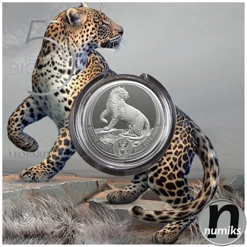 Leopard 2026 südafrika - leopard,