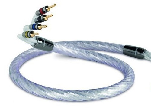 Qed silver spiral - silver,