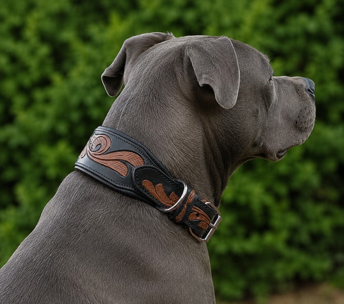 Halsband rich punziert schwarz - rich,