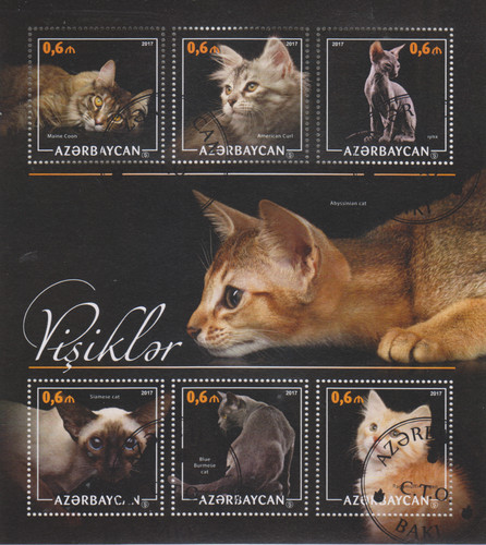 Katzen gestempelt 9682 - ,
