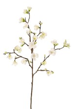 artplants Deko Zweig