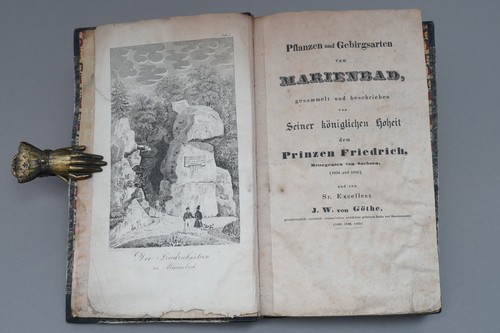 Pflanzen gebirgsarten v - gebirgsarten,