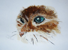 Katzenauge Ozean Farbskizze