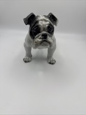 englische Bulldogge von