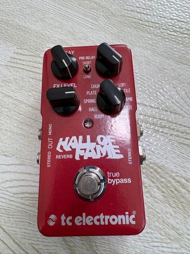 Electronic hall fame - hall,