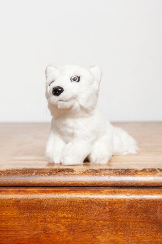 Wwf oko mini - oko, polarfuchs