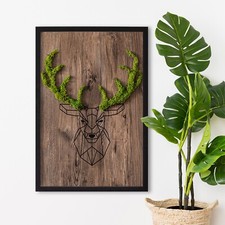 Bild mit natürlichem - mit, moos-