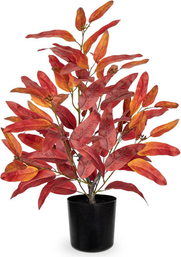 Kunstpflanzen eukalyptus cm - eukalyptus, 48