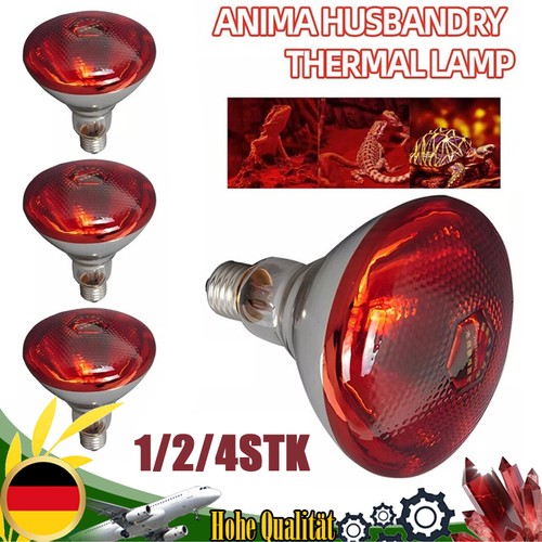 Infrarotlampe wärmelampe - infrarotlampe,