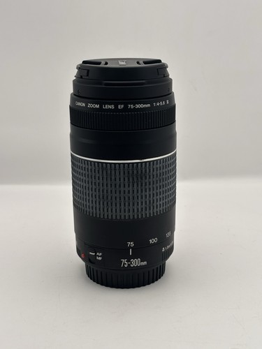 Canon 300mm 5 6 iii - ef, f/4-5.6